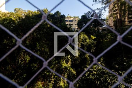 Vista da Varanda da Sala de apartamento para alugar com 2 quartos, 40m² em Jardim Ampliacao, São Paulo