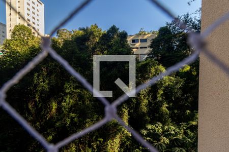 Vista do Quarto 1 de apartamento para alugar com 2 quartos, 40m² em Jardim Ampliacao, São Paulo