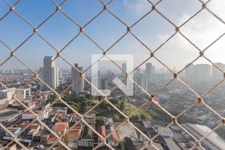 Vista de apartamento para alugar com 3 quartos, 74m² em Vila das Mercês, São Paulo
