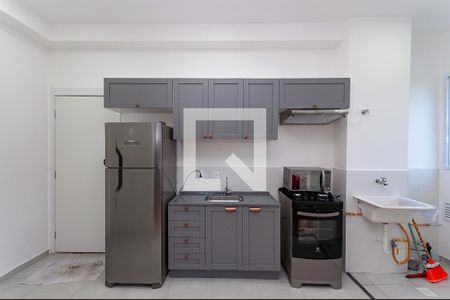 Cozinha de apartamento para alugar com 2 quartos, 40m² em Barra Funda, São Paulo