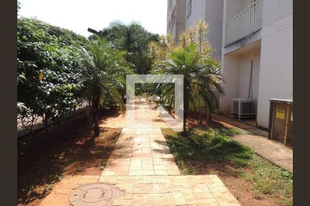 Apartamento à venda com 2 quartos, 57m² em Vila Nova, Campinas