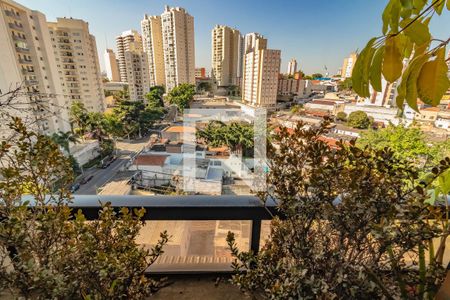 Vista de apartamento para alugar com 3 quartos, 143m² em Vila Mascote, São Paulo