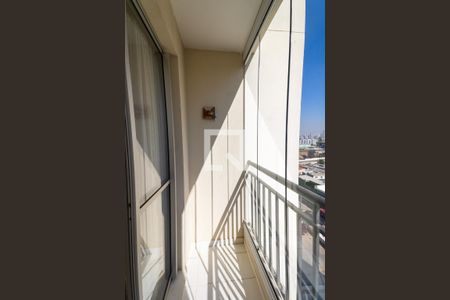 Apartamento para alugar com 2 quartos, 50m² em Quinta da Paineira, São Paulo