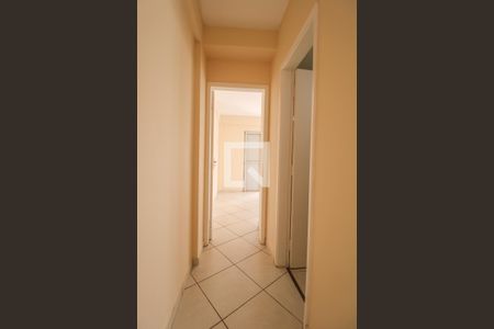 Corredor de apartamento para alugar com 1 quarto, 49m² em Cambuí, Campinas