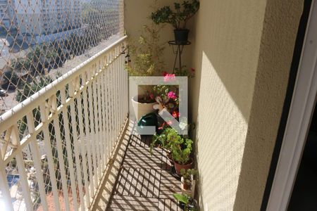 Sacada de apartamento à venda com 3 quartos, 74m² em Jardim Sao Caetano, São Caetano do Sul
