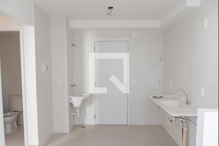 Cozinha de apartamento para alugar com 2 quartos, 40m² em Cambuci, São Paulo