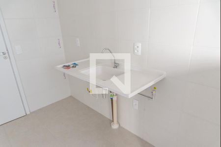 Cozinha de apartamento para alugar com 2 quartos, 40m² em Cambuci, São Paulo