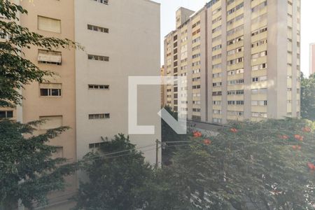 Vista da Sala de apartamento para alugar com 3 quartos, 106m² em Barra Funda, São Paulo