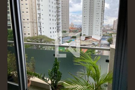 Apartamento à venda com 3 quartos, 107m² em Belenzinho, São Paulo