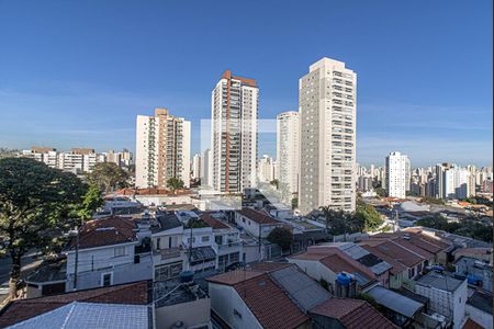 vistas_3 de apartamento para alugar com 2 quartos, 70m² em Vila Gumercindo, São Paulo