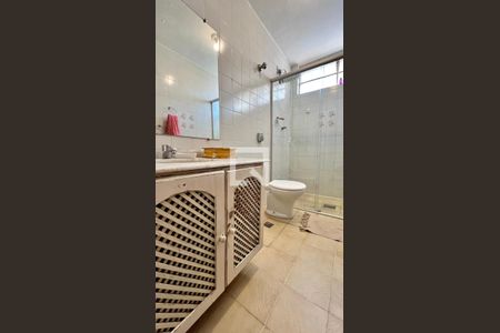 banheiro de apartamento à venda com 2 quartos, 50m² em São Lucas, Belo Horizonte