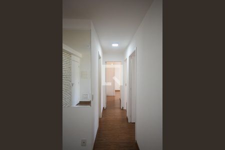 Corredor de apartamento para alugar com 3 quartos, 64m² em Jardim Parque Morumbi, São Paulo