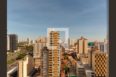 Vista da Sala de apartamento à venda com 3 quartos, 234m² em Centro, Campinas