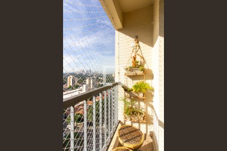 Varanda Sala de apartamento para alugar com 2 quartos, 50m² em Vila Leopoldina, São Paulo