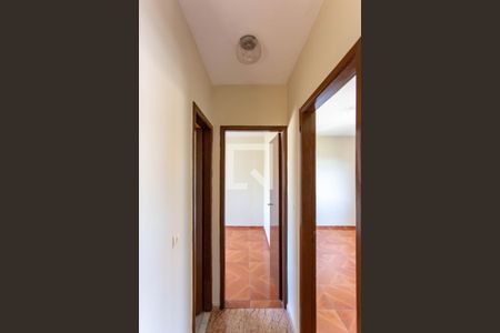 Corredor de apartamento para alugar com 2 quartos, 68m² em Santa Amelia, Belo Horizonte