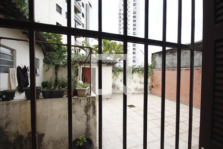 Vista de apartamento para alugar com 1 quarto, 32m² em Vila Mariana, São Paulo