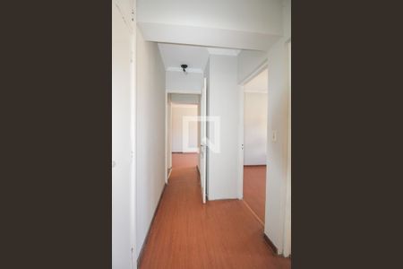 Corredor  de apartamento para alugar com 2 quartos, 69m² em Ponte Preta, Campinas