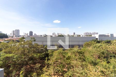 Vista Quarto 1 de apartamento para alugar com 3 quartos, 113m² em Jardim Dom Bosco, São Paulo