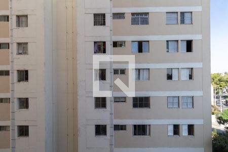Vista Quarto 1 de apartamento à venda com 3 quartos, 66m² em Parque Paineiras, São Paulo