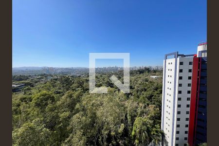 vista da varanda da sala de apartamento para alugar com 3 quartos, 180m² em Vila Indiana, São Paulo