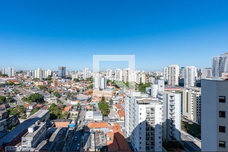 Vista da Sala de apartamento para alugar com 2 quartos, 70m² em Vila Mascote, São Paulo