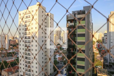 Vista da Suíte de apartamento para alugar com 3 quartos, 80m² em Vila Anglo Brasileira, São Paulo