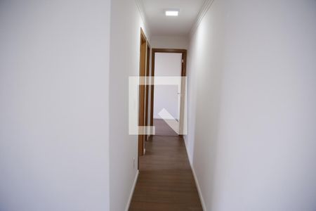 Corredor de apartamento para alugar com 2 quartos, 48m² em Jardim Iris, São Paulo