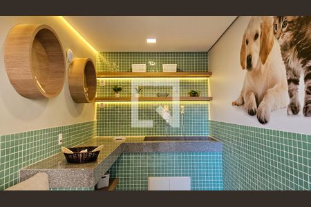 Área comum - Petcare de apartamento para alugar com 1 quarto, 34m² em Socorro, São Paulo