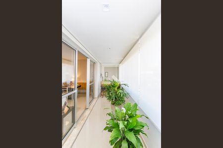 Varanda da Sala de apartamento para alugar com 3 quartos, 115m² em Vale do Sereno, Nova Lima