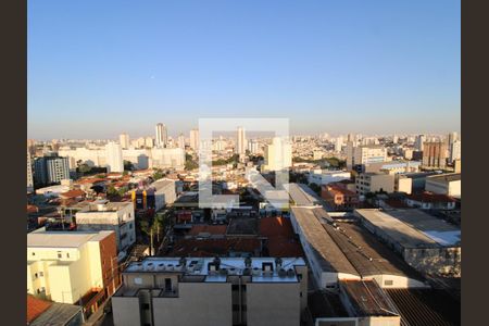Vista de apartamento para alugar com 1 quarto, 45m² em Tucuruvi, São Paulo