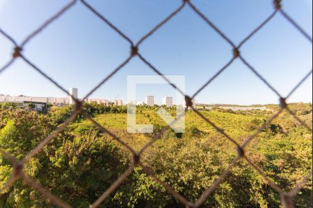 Vista da Suíte de apartamento à venda com 3 quartos, 74m² em Jardim Anton Von Zuben, Campinas