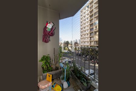 Varanda da Sala de apartamento para alugar com 3 quartos, 90m² em Vila Sonia, São Paulo