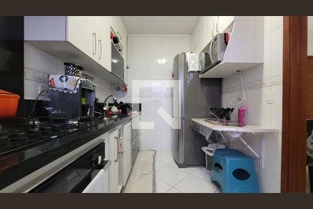 Cozinha  de apartamento à venda com 2 quartos, 69m² em Vila Curuca, Santo André