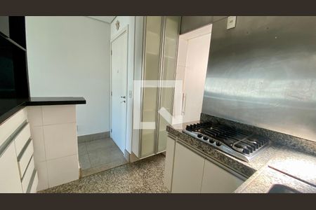 Cozinha de apartamento para alugar com 2 quartos, 170m² em Belvedere, Belo Horizonte