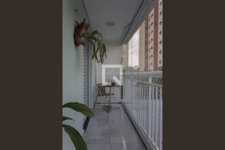 Varanda de apartamento à venda com 3 quartos, 80m² em Baeta Neves, São Bernardo do Campo