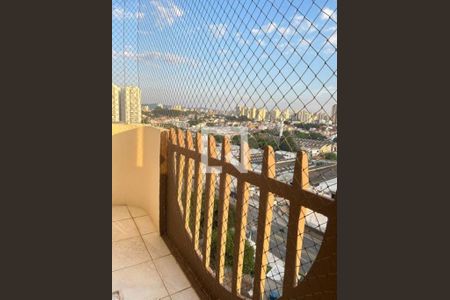 Apartamento à venda com 3 quartos, 74m² em Baeta Neves, São Bernardo do Campo