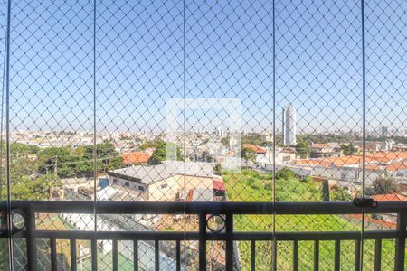 Apartamento para alugar com 2 quartos, 80m² em Vila Bela, São Paulo