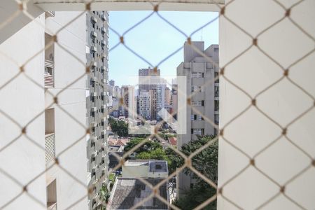 Vista da Sala de apartamento para alugar com 2 quartos, 60m² em Perdizes, São Paulo
