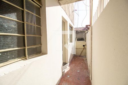 Área do Quarto 1 de apartamento para alugar com 2 quartos, 70m² em Vila Haro, Sorocaba