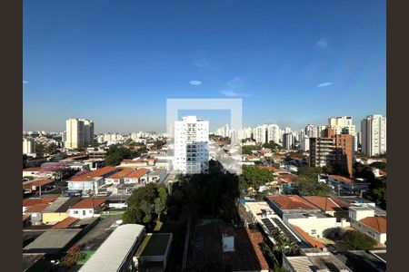 Vista da Varanda  de apartamento à venda com 3 quartos, 149m² em Vila Mascote, São Paulo
