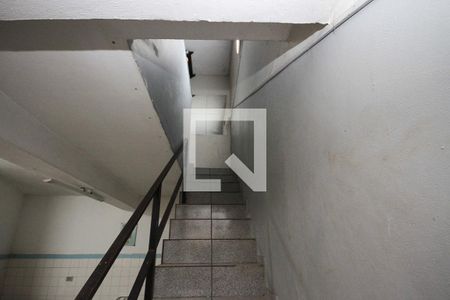 Escada de casa para alugar com 2 quartos, 70m² em Vila Bela, São Paulo