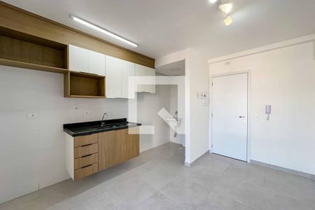 Cozinha  de apartamento à venda com 1 quarto, 29m² em Vila Paulicéia, São Paulo