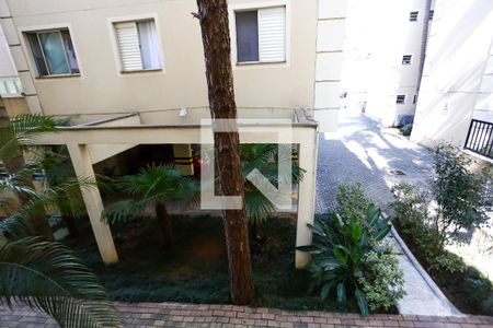 Vista de apartamento à venda com 2 quartos, 55m² em Paraisópolis, São Paulo