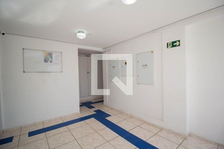 Hall social de apartamento para alugar com 2 quartos, 50m² em Vila Nina, São Paulo