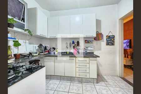Cozinha - Armários de apartamento à venda com 2 quartos, 68m² em Santa Tereza, Belo Horizonte