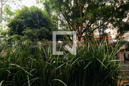 Vista da Varanda da Sala de apartamento para alugar com 4 quartos, 267m² em Jardim Ampliação, São Paulo