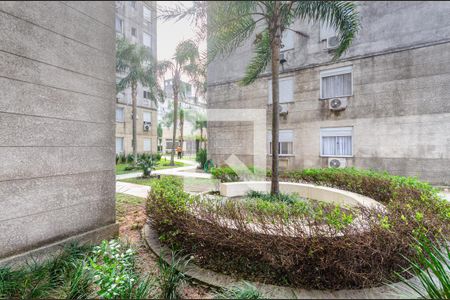 Vista Quarto 1 de apartamento à venda com 3 quartos, 61m² em Cavalhada, Porto Alegre