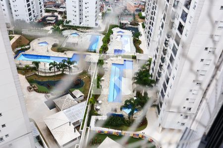 vista de apartamento para alugar com 2 quartos, 70m² em Jardim Parque Morumbi, São Paulo