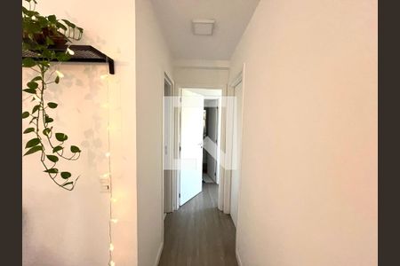 Corredor de apartamento para alugar com 2 quartos, 62m² em Vila Parque Jabaquara, São Paulo