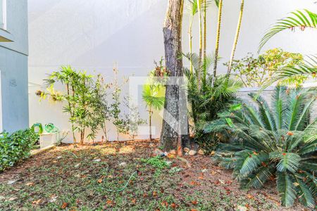 Jardim de casa de condomínio à venda com 4 quartos, 260m² em Santo Amaro, São Paulo